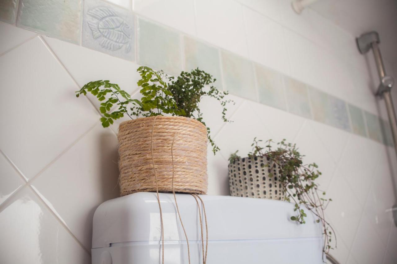 Amarilis Rooms Grožnjan Exteriör bild